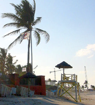 [ Closed beach flag ]