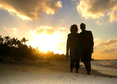 [ Backlit sunset ]