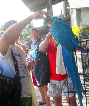 [ Guy petting bird ]