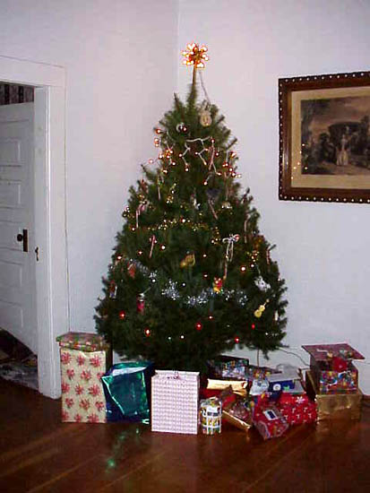 [ The Christmas tree ]