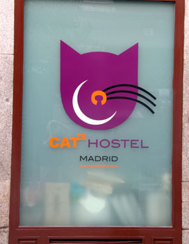 [ Cat's Hostel ]