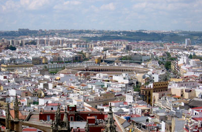 [ View from the Seville cathedral ]