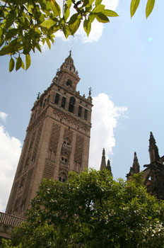 [ Seville cathedral tower ]