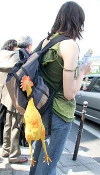 [ Rubber chicken in Paris ]