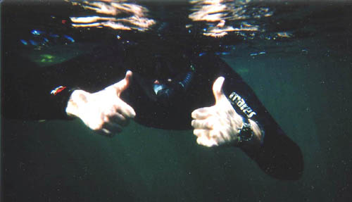 [ Me with thumbs up ]