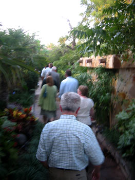 [ Dinner in the garden ]