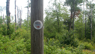 [ SBTS sign in the woods ]