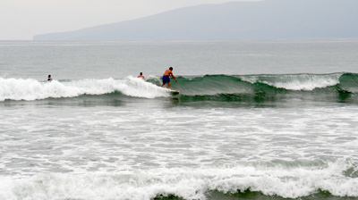[ Surfers in Maui ]