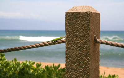[ Gecko on rope fence ]
