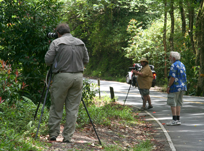 [ Photographers on the road to Hana ]