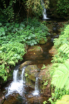 [ Small waterfalls at Akaka ]