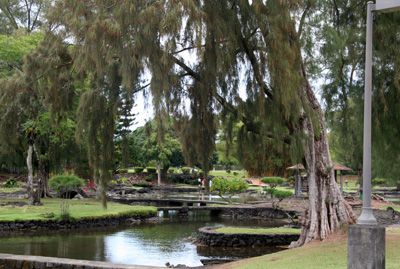 [ Japanese Garden in Hilo ]