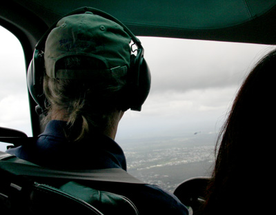 [ Helos over Hilo ]