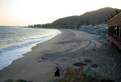 [ On the beach ]