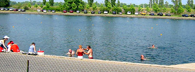 [

Swimming in the rowing basin ]