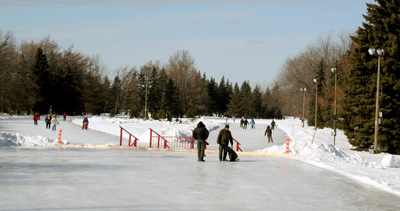 [ Skating in the park ]