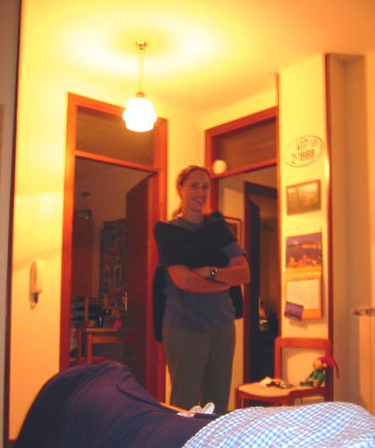 [ Cat in the apartment ]