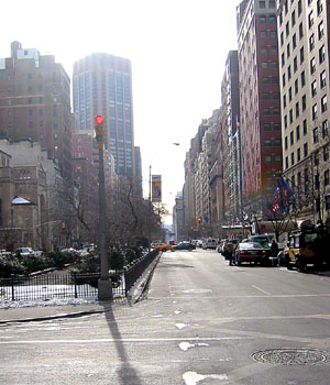 [ Park Avenue ]