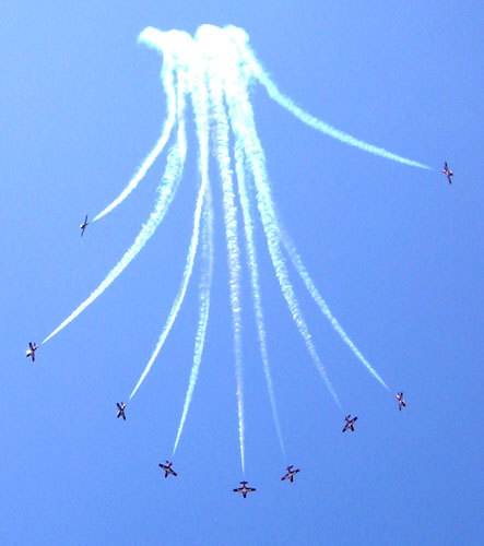[ Snowbirds Split ]