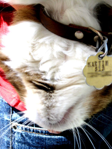 [ Martin Upside Down ]