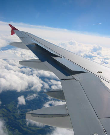 [ Wing ]