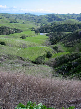 [ Valley-like thing ]