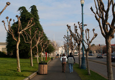 [ Walking along the Embarcadero ]