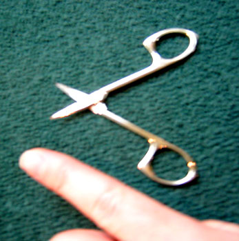 [ The offending 

shears. ]