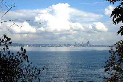 [ Imagine the view 

]