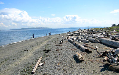 [ Walk on the beach 

]