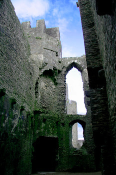 [ Vine-covered ruins ]