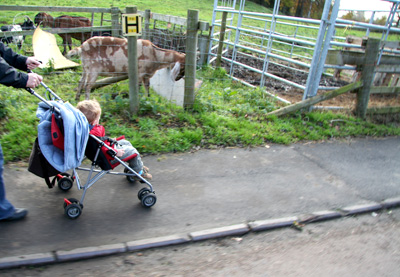 [ Goats near the train station ]
