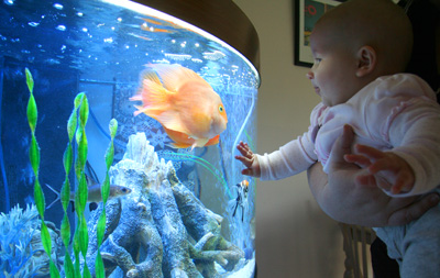 [ Morgan investigates the fish ]