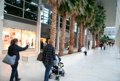 [ Palm trees inside the mall ]