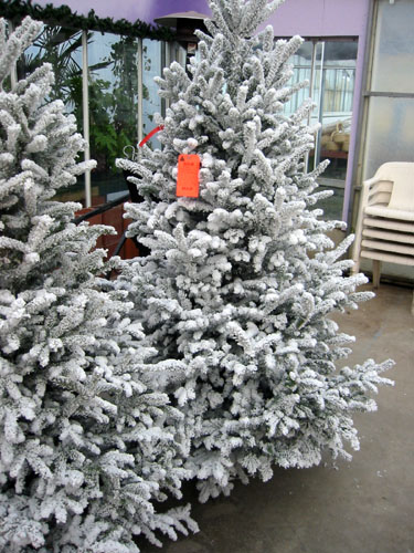 [ Flocked trees ]