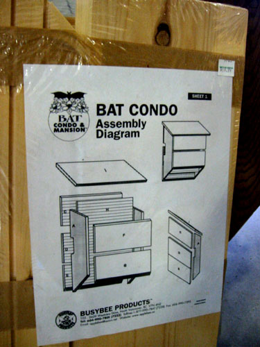 [ Bat condo ]