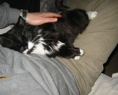 [ Portia on lap ]